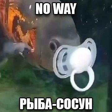 Image attached toot